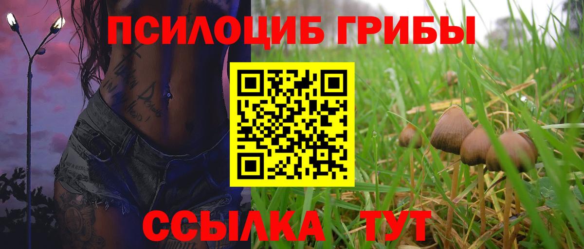 Галлюциногенные грибы Psilocybine cubensis  Вход с VPN  Павлово 