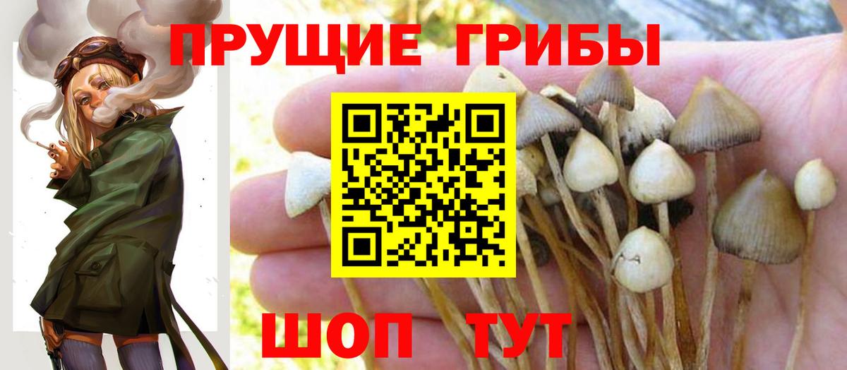 Псилоцибиновые грибы Magic Shrooms Павлово